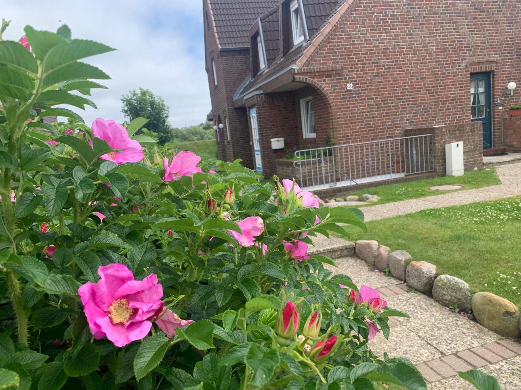 Sylter-Rose-3A-Strandnahe-Ferienwohnung-Mit-Strandkorb Westerland Zewnętrze zdjęcie